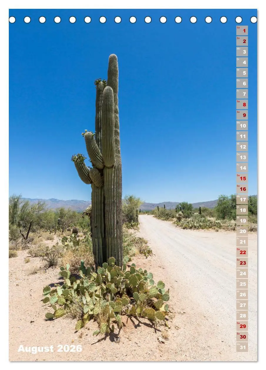 Bild: 9783516389302 | SAGUARO NATIONAL PARK Wüstenimpressionen aus Arizona (Tischkalender...