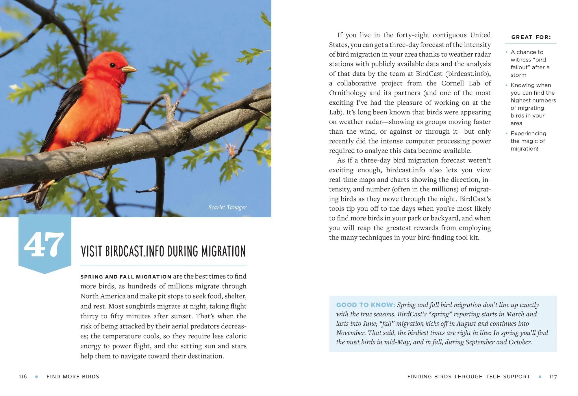 Bild: 9781615199402 | Find More Birds | 111 Surprising Ways to Spot Birds Wherever You Are