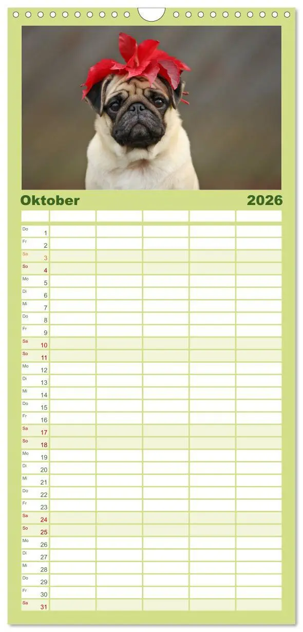 Bild: 9783516519402 | Familienplaner 2026 - Der Feldfurchen-Mops mit 5 Spalten...