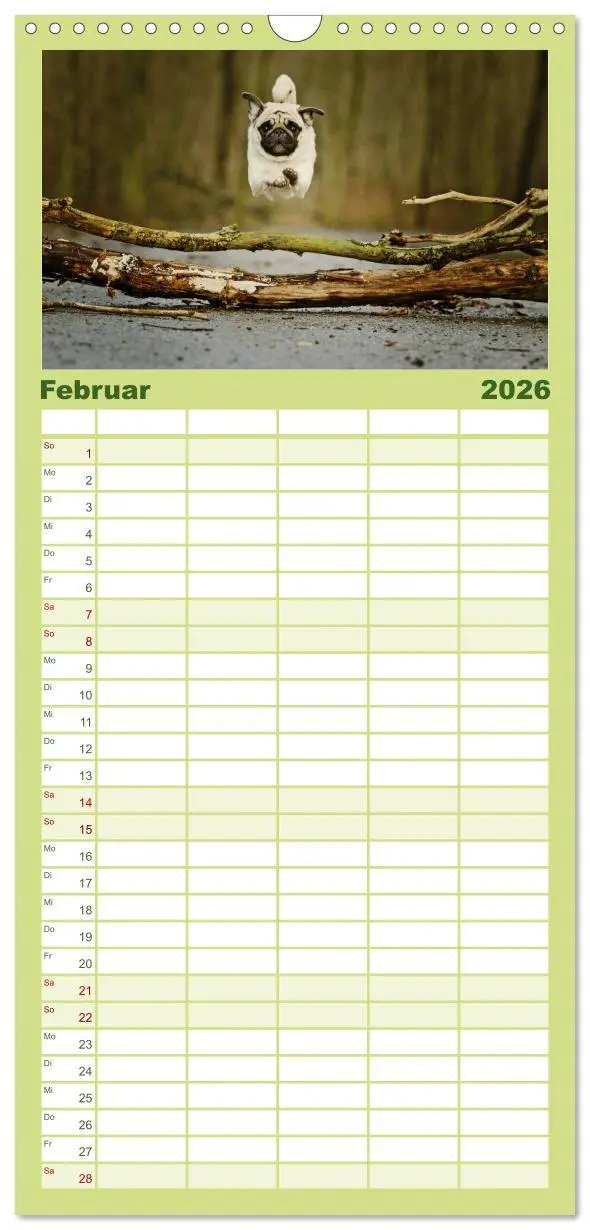 Bild: 9783516519402 | Familienplaner 2026 - Der Feldfurchen-Mops mit 5 Spalten...