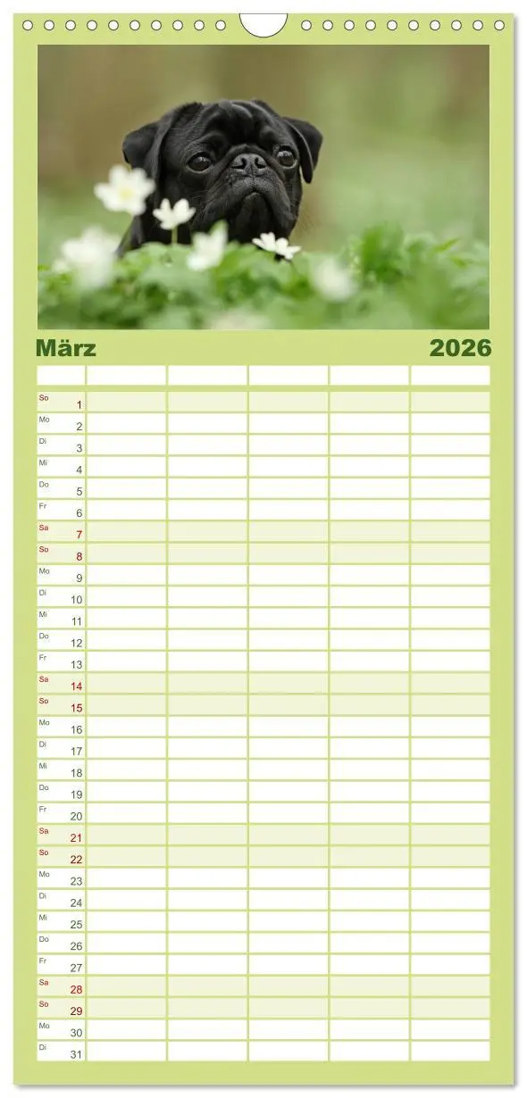 Bild: 9783516519402 | Familienplaner 2026 - Der Feldfurchen-Mops mit 5 Spalten...