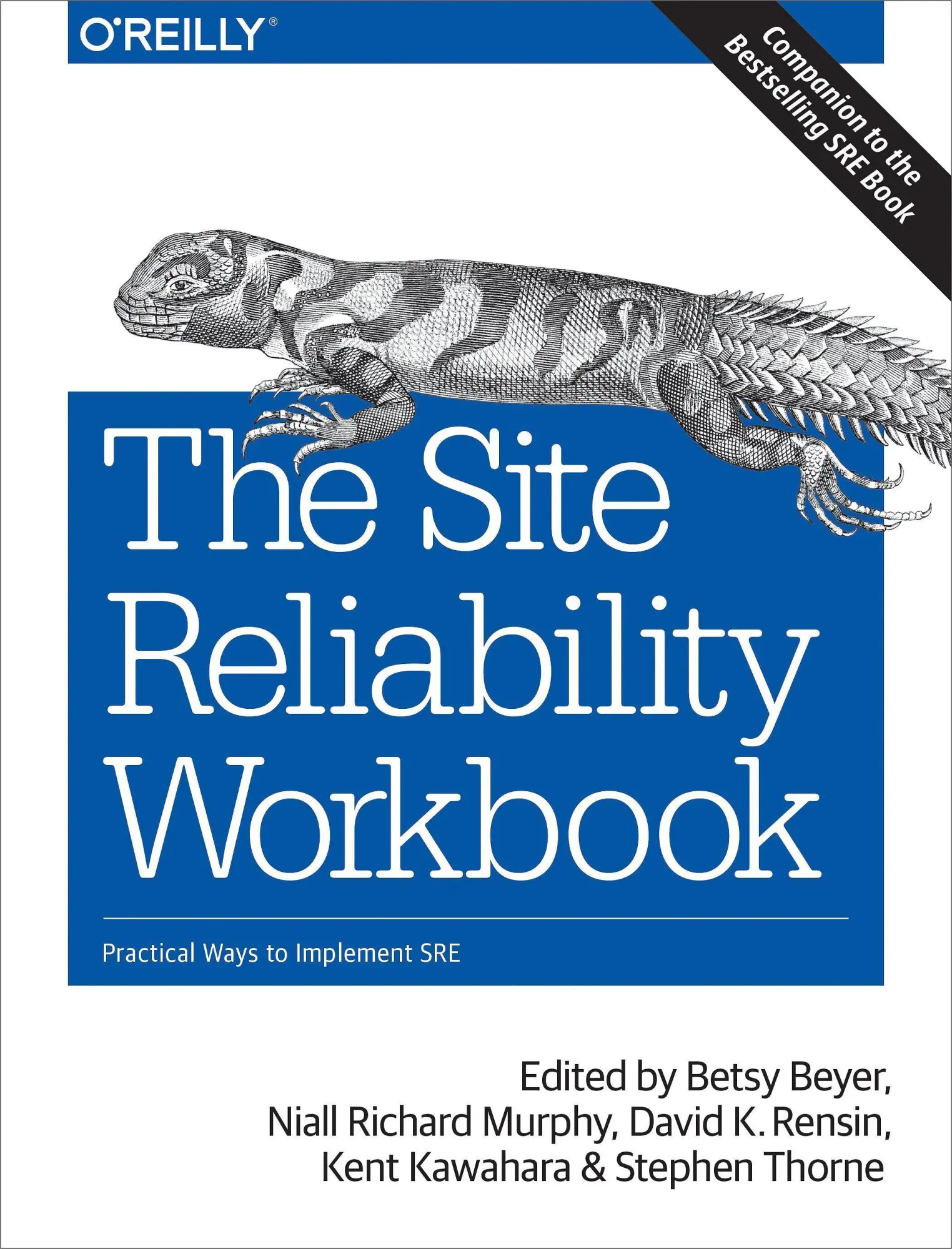 Cover: 9781492029502 | The Site Reliability Workbook | Practical Ways to Implement SRE | Buch