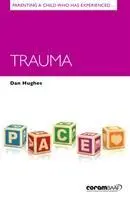 Cover: 9781910039502 | Parenting a Child Who Has Experienced Trauma | Dan Hughes | Buch