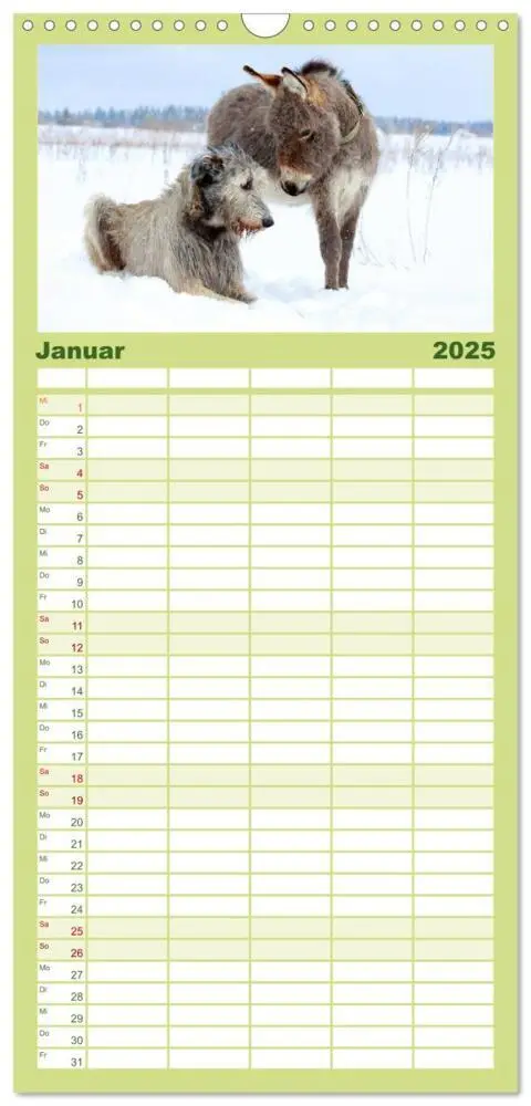 Bild: 9783457109502 | Familienplaner 2025 - Das Esel-Paradies - Hunde und andere Feunde...