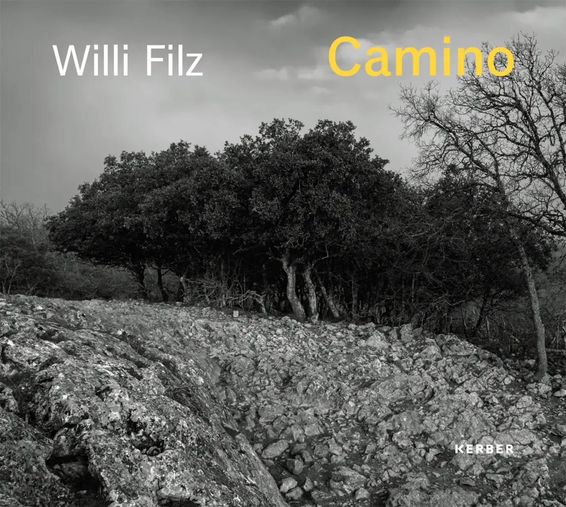 Cover: 9783735609502 | Willi Filz | Camino | Christoph Schaden | Buch | 120 S. | Deutsch