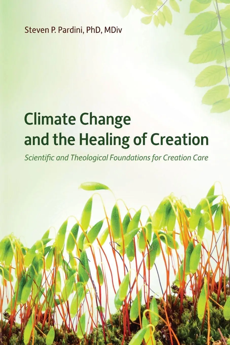 Cover: 9798999229502 | Climate Change and the Healing of Creation | Steven P Pardini | Buch