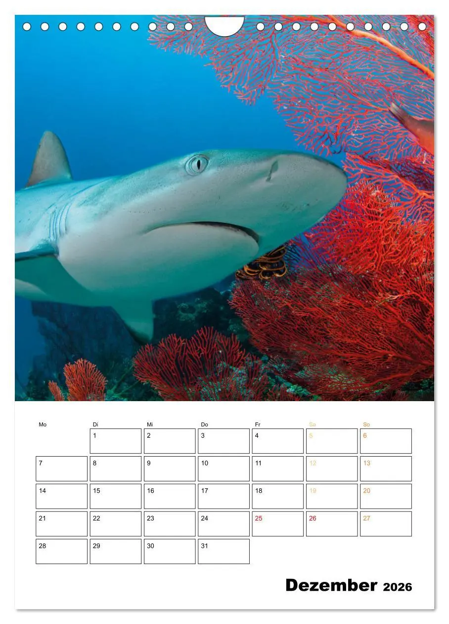 Bild: 9783516599602 | Farbrausch unter Wasser: Fische am Riff (Wandkalender 2026 DIN A4...