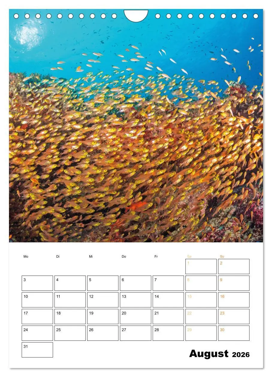 Bild: 9783516599602 | Farbrausch unter Wasser: Fische am Riff (Wandkalender 2026 DIN A4...