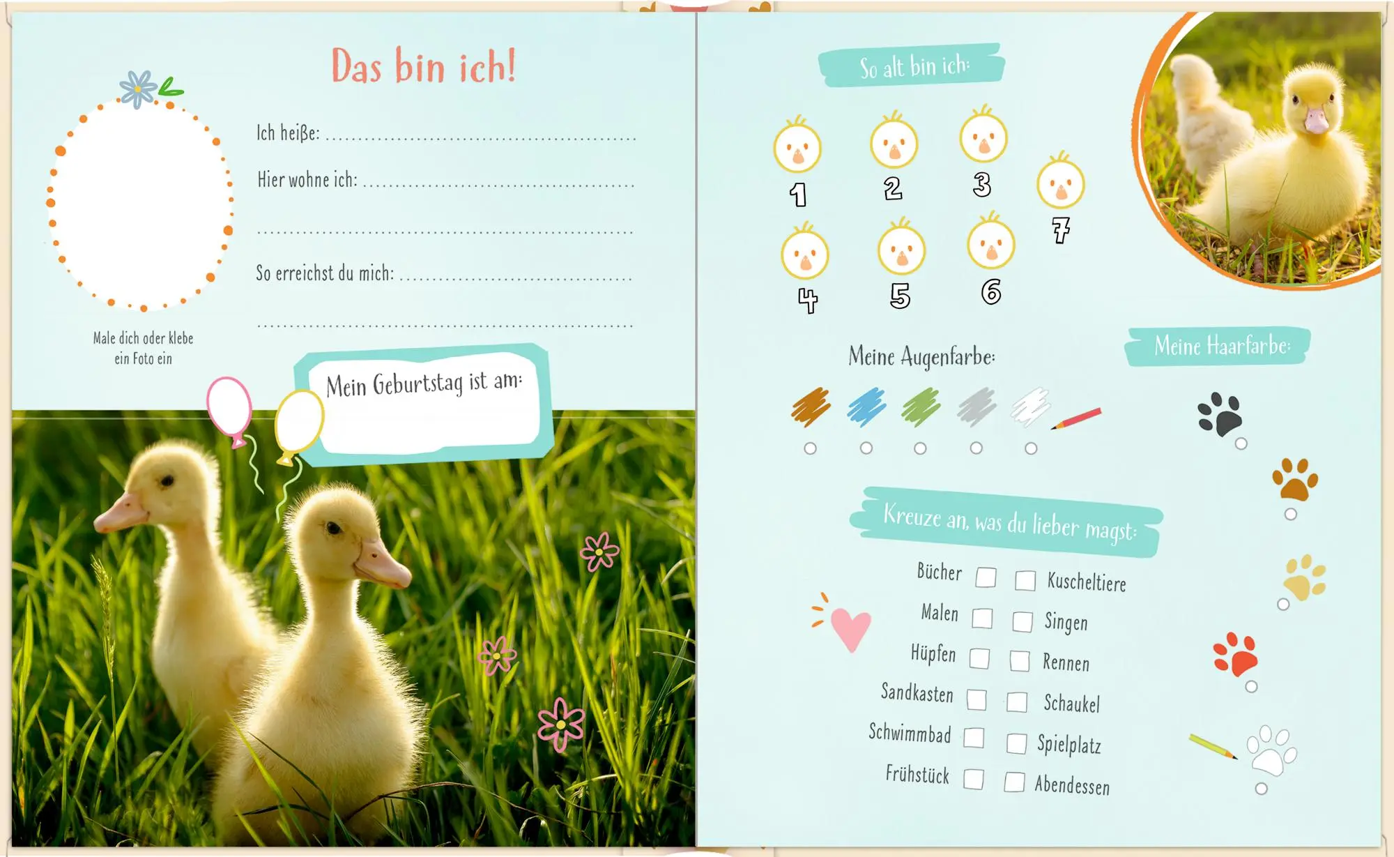 Bild: 4050003959702 | Freundebuch - Alle meine Freunde | mit über 100 Stickern - Tierkinder