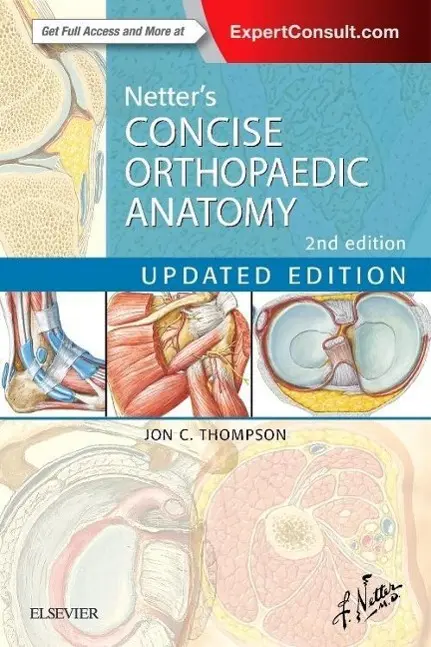 Cover: 9780323429702 | Netter's Concise Orthopaedic Anatomy, Updated Edition | Thompson