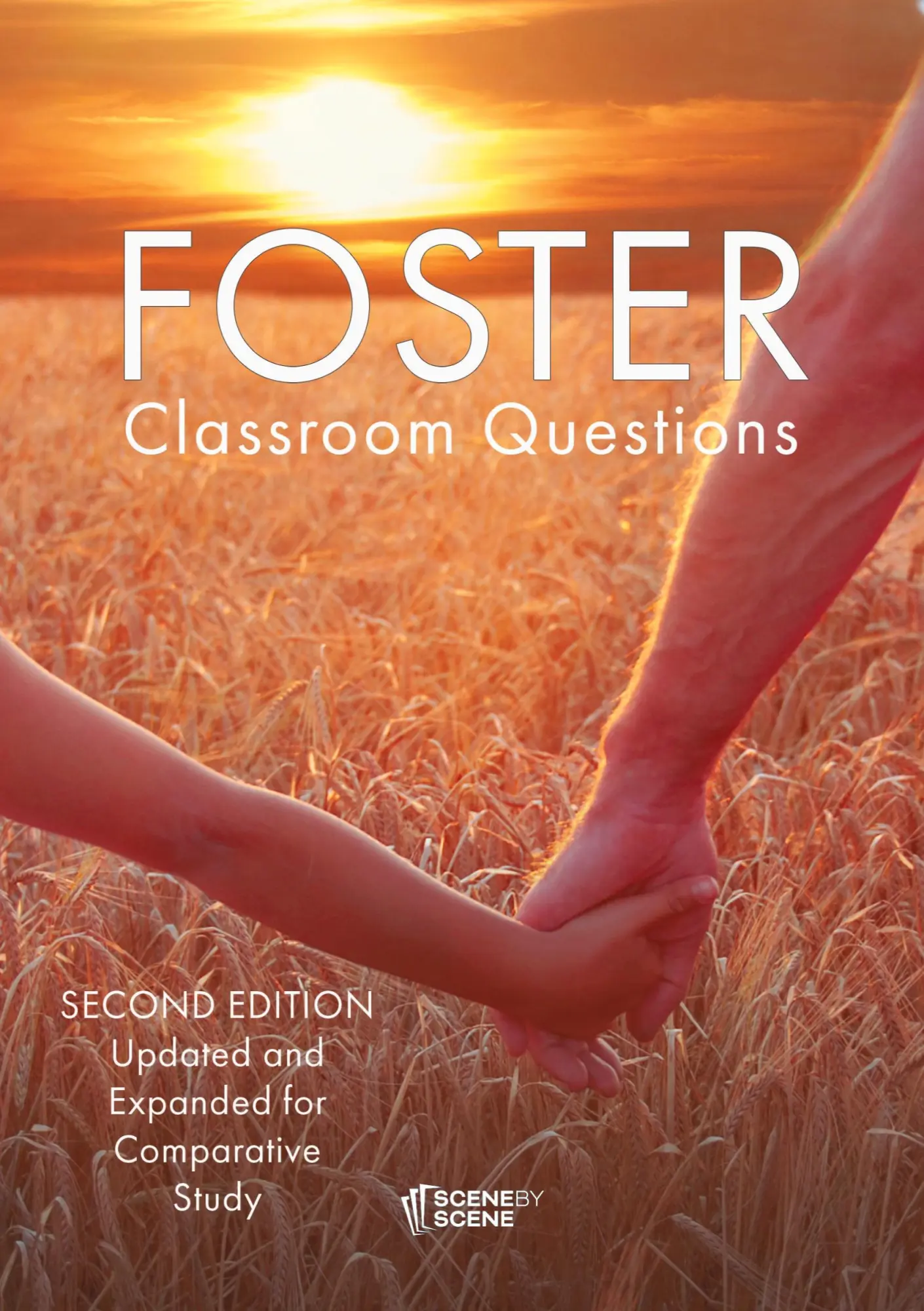 Cover: 9781910949702 | Foster Classroom Questions | Amy Farrell | Taschenbuch | Englisch