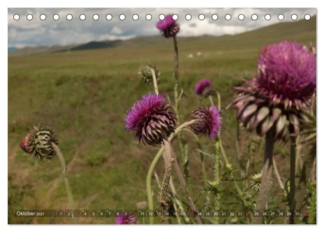 Bild: 9783569989702 | Mongolei - weites Land (Tischkalender 2027 DIN A5 quer), CALVENDO...