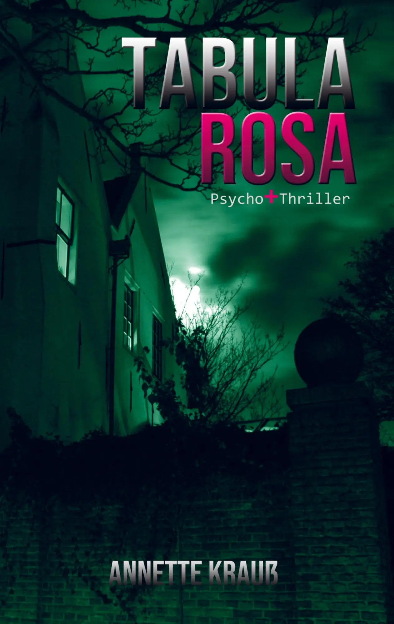 Cover: 9789403649702 | Tabula Rosa | Annette Krauß | Taschenbuch | 136 S. | Deutsch | 2022