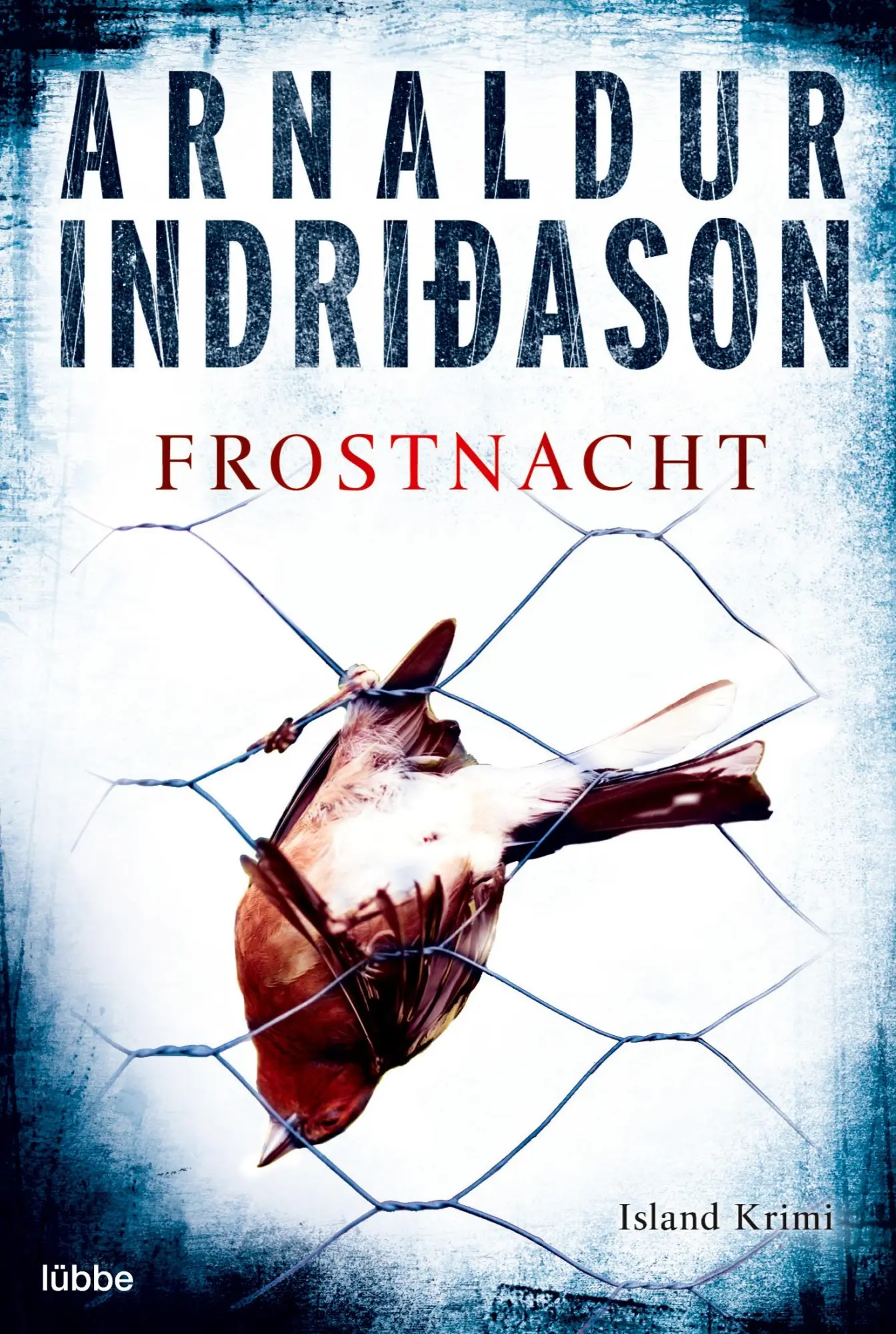 Cover: 9783404159802 | Frostnacht | Island Krimi. Kommissar Erlendur, Fall 7 | Indriðason