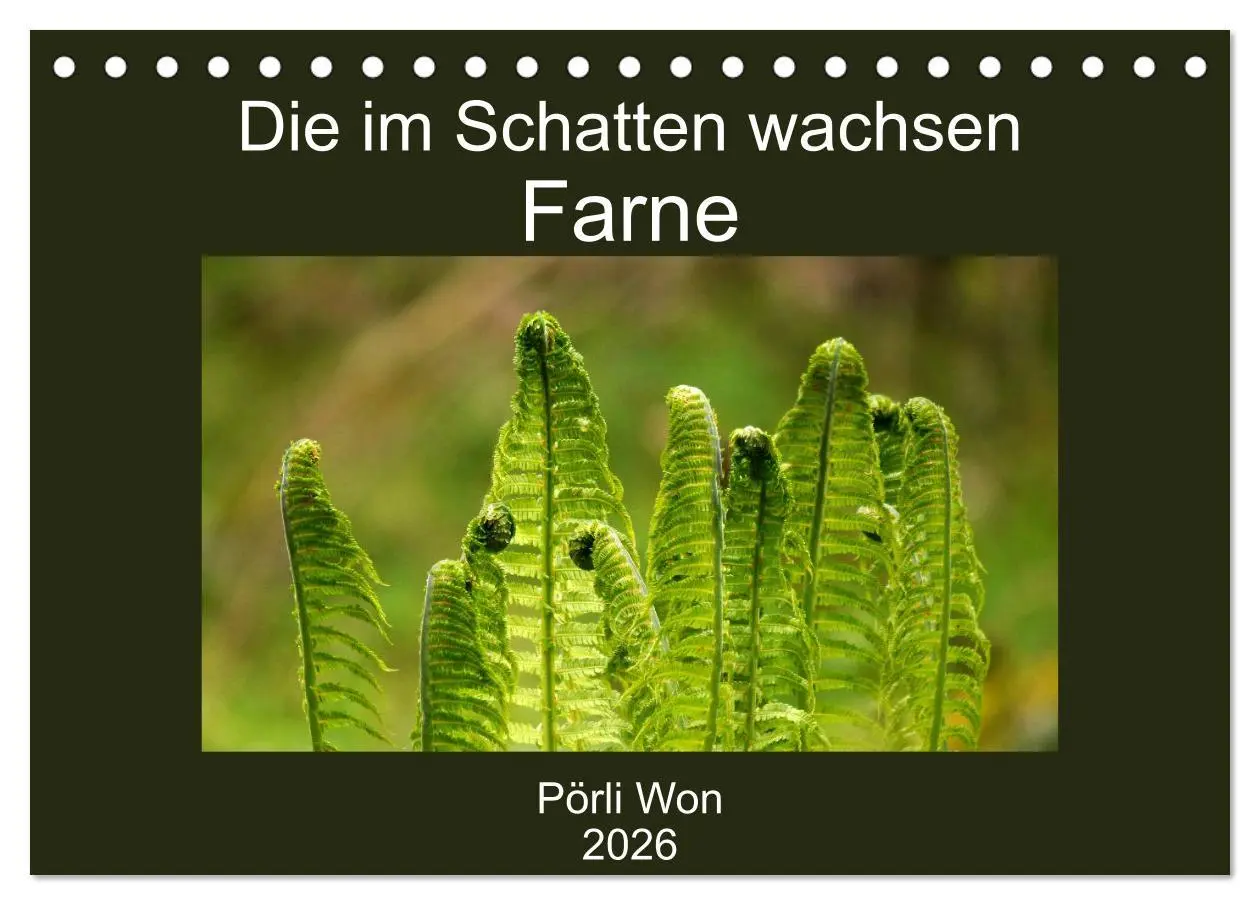 Cover: 9783457939802 | Die im Schatten wachsen - Farne (Tischkalender 2026 DIN A5 quer),...