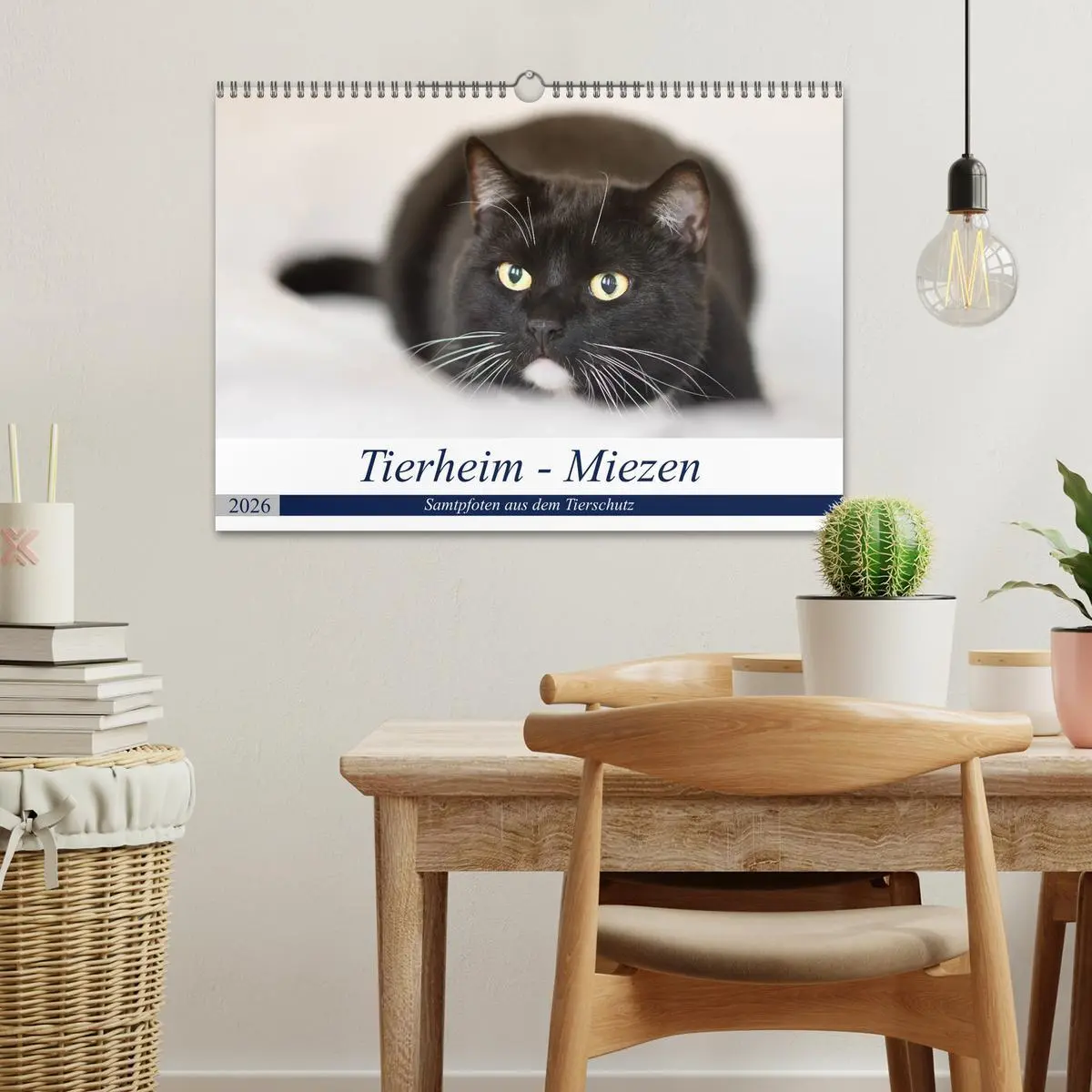 Bild: 9783516019902 | Tierheim - Miezen (Wandkalender 2026 DIN A3 quer), CALVENDO...