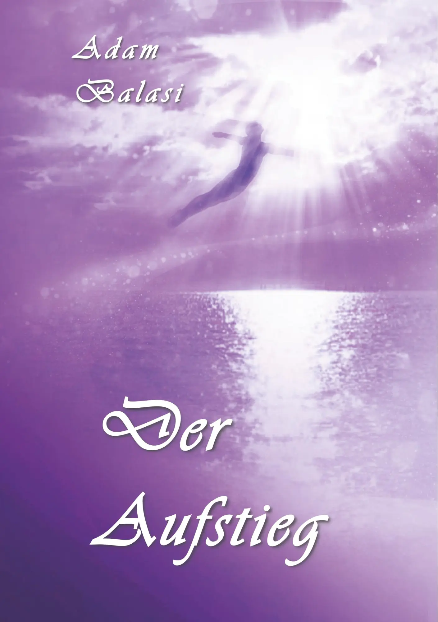 Cover: 9783750419902 | Der Aufstieg | Adam Balasi | Taschenbuch | 100 S. | Deutsch | 2019