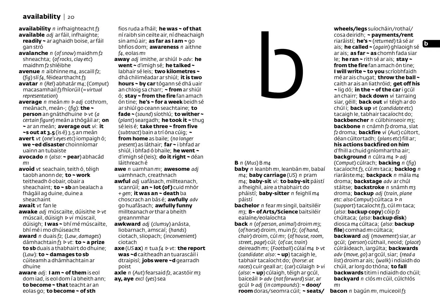Bild: 9780008320003 | Irish Pocket Dictionary | The Perfect Portable Dictionary | Buch
