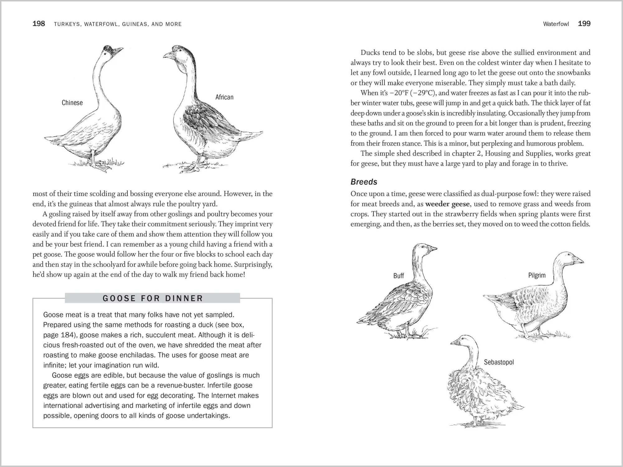 Bild: 9781612120003 | Storey's Guide to Raising Poultry, 4th Edition | Glenn Drowns | Buch