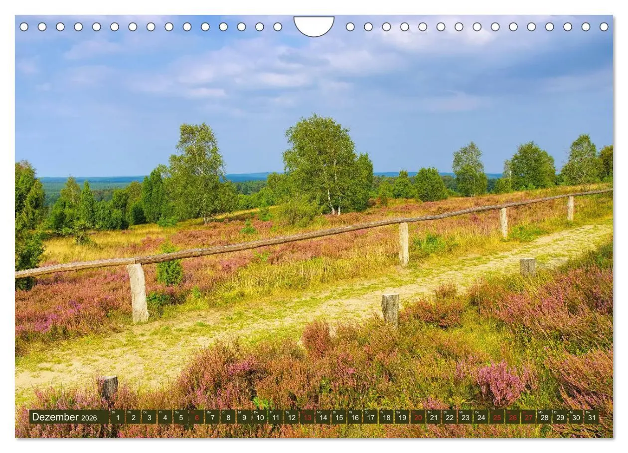 Bild: 9783457730003 | Lüneburger Heide - Wanderung rund um Wilsede und Totengrund...