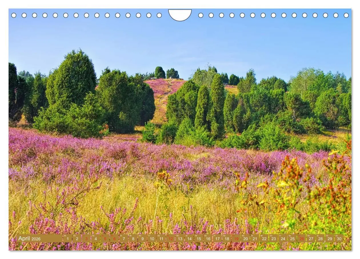 Bild: 9783457730003 | Lüneburger Heide - Wanderung rund um Wilsede und Totengrund...