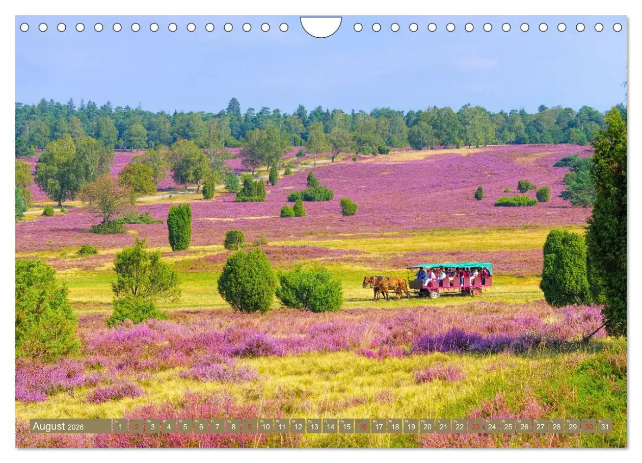 Bild: 9783457730003 | Lüneburger Heide - Wanderung rund um Wilsede und Totengrund...