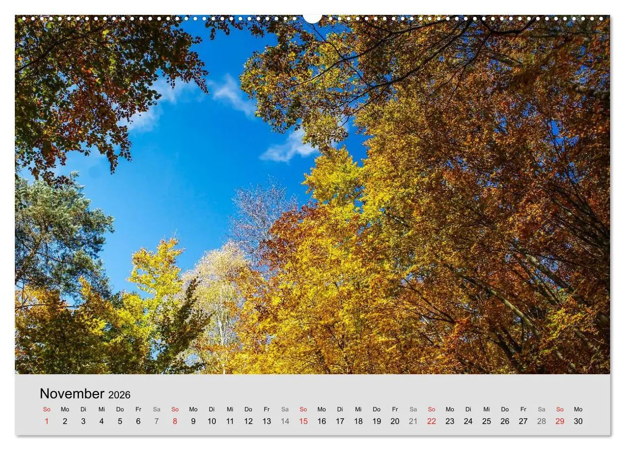 Bild: 9783516060003 | Saarland - unbekannte Schönheit (Wandkalender 2026 DIN A2 quer),...