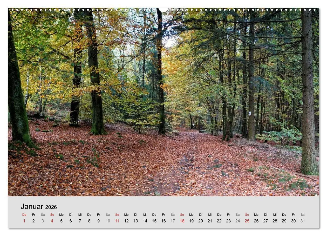 Bild: 9783516060003 | Saarland - unbekannte Schönheit (Wandkalender 2026 DIN A2 quer),...