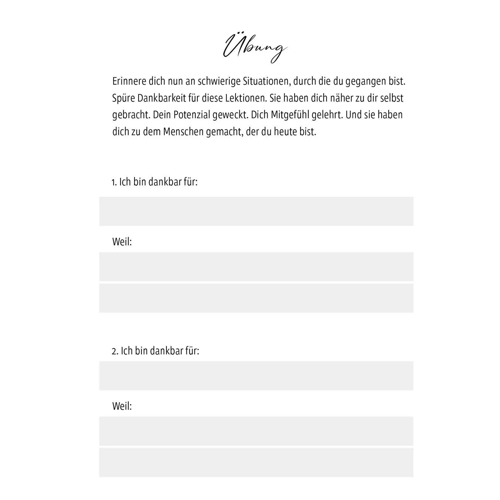 Bild: 9783596710003 | Das Randa-Prinzip | Randa Weiser | Taschenbuch | 208 S. | Deutsch