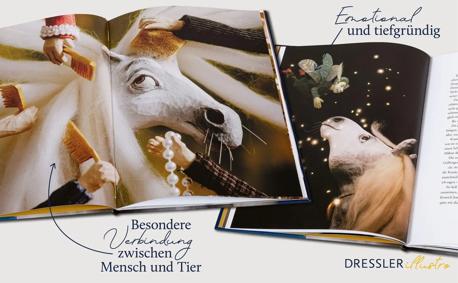 Bild: 9783690380003 | Das Pferd des Grafen | Cornelia Funke | Buch | DRESSLER illustro