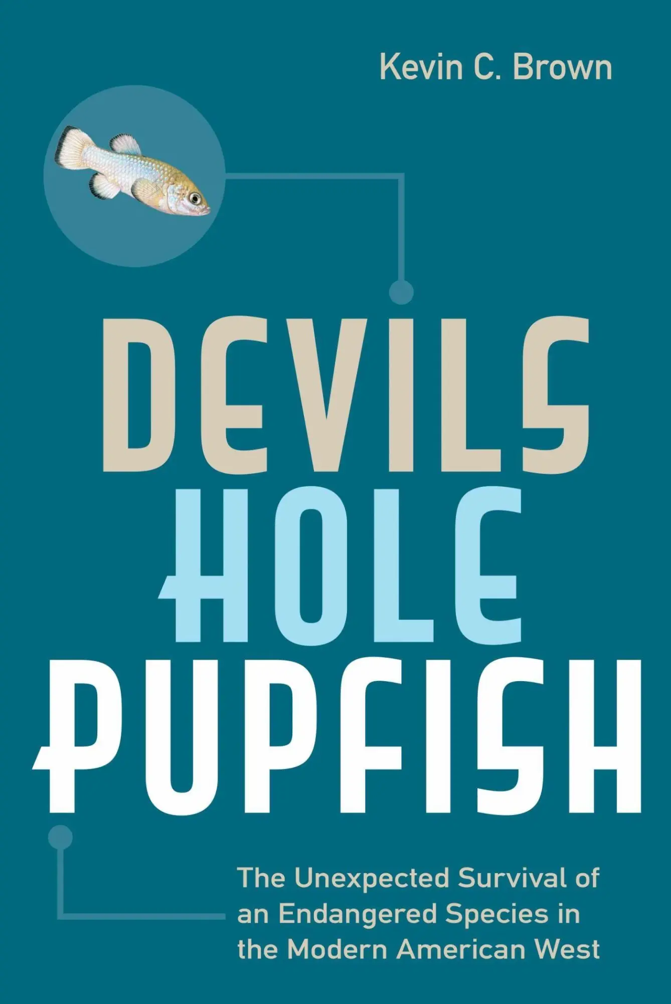 Cover: 9781647790103 | Devils Hole Pupfish | Kevin C Brown | Taschenbuch | Englisch | 2021