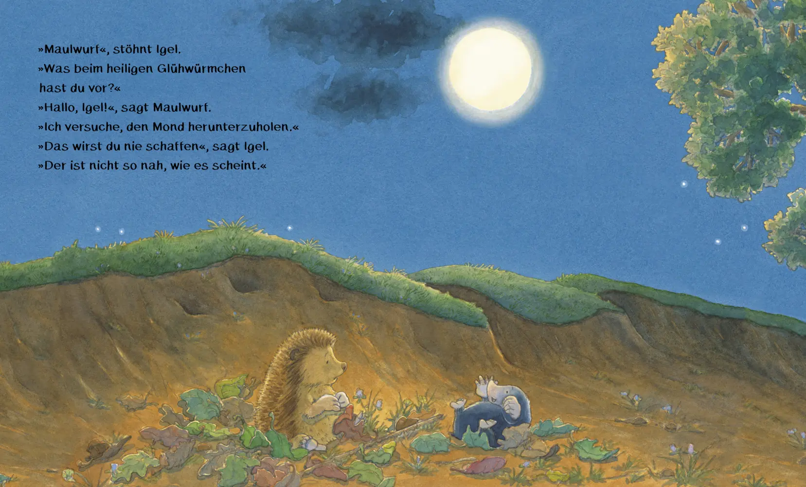 Bild: 9783219120103 | Was leuchtet in der Nacht? | Jonathan Emmett | Buch | 24 S. | Deutsch