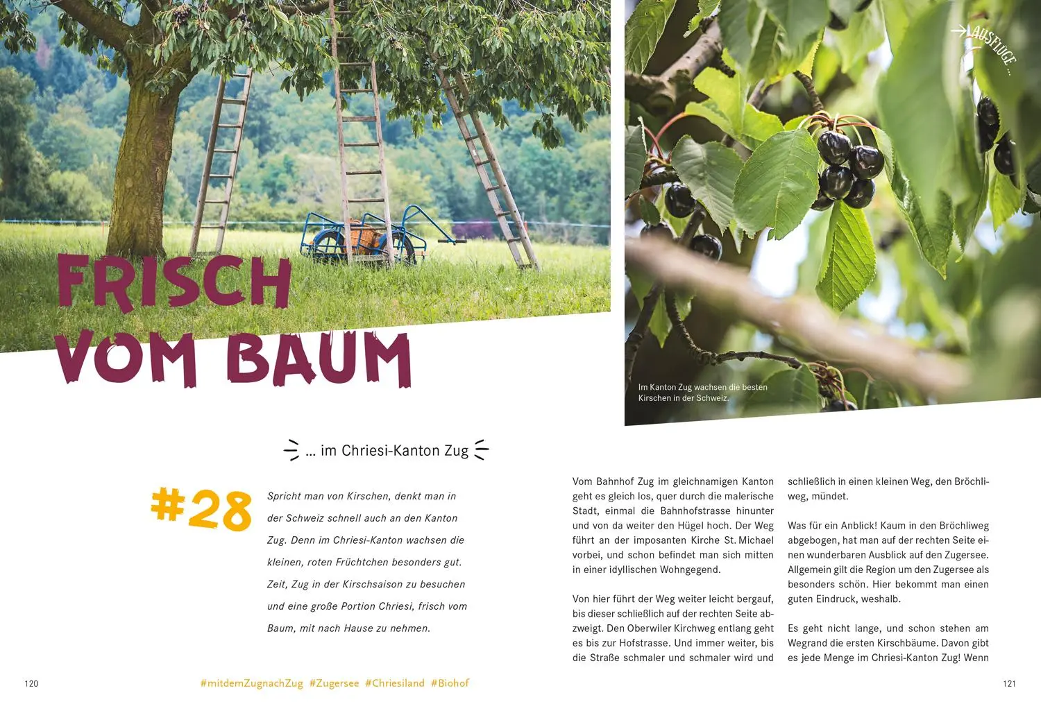 Bild: 9783616110103 | 52 kleine &amp; große Eskapaden in und um Zürich | Ab nach draußen! | Buch
