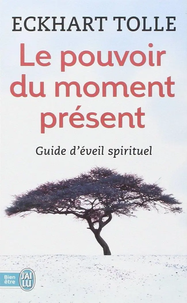 Cover: 9782290020203 | Le pouvoir du moment présent | Guide d'eveil spirituel | Eckhart Tolle