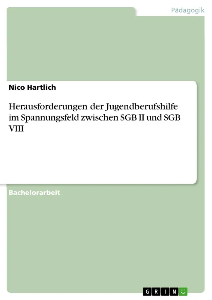Cover: 9783346210203 | Herausforderungen der Jugendberufshilfe im Spannungsfeld zwischen...
