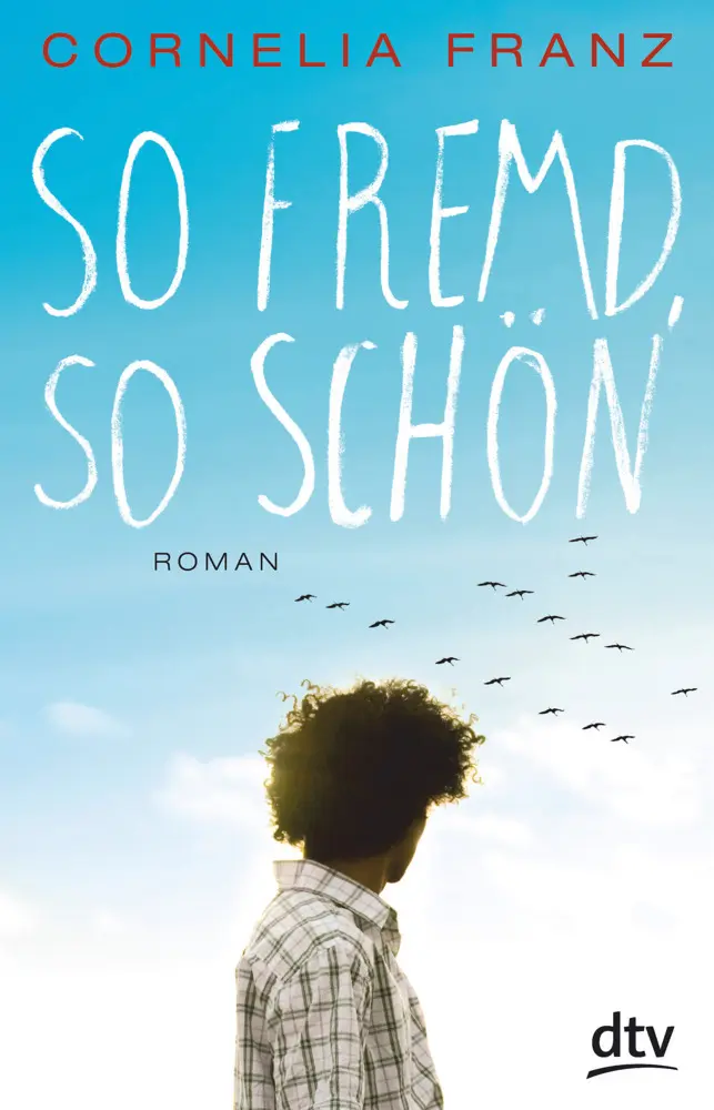 Cover: 9783423740203 | So fremd, so schön | Roman | Cornelia Franz | Taschenbuch | 224 S.