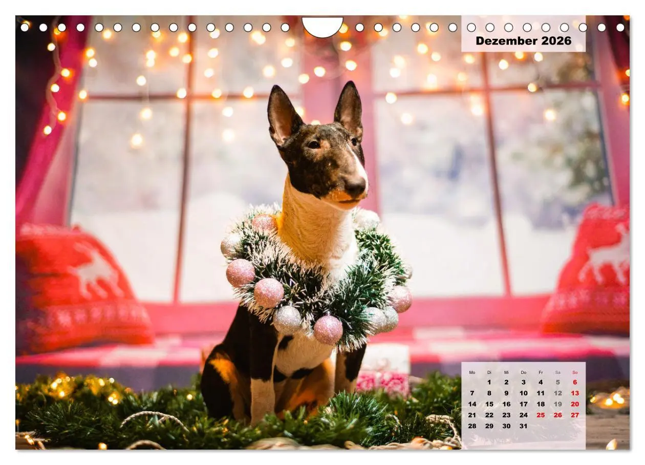 Bild: 9783457570203 | Bullterrier. Freudiges Wesen und Charakter (Wandkalender 2026 DIN...