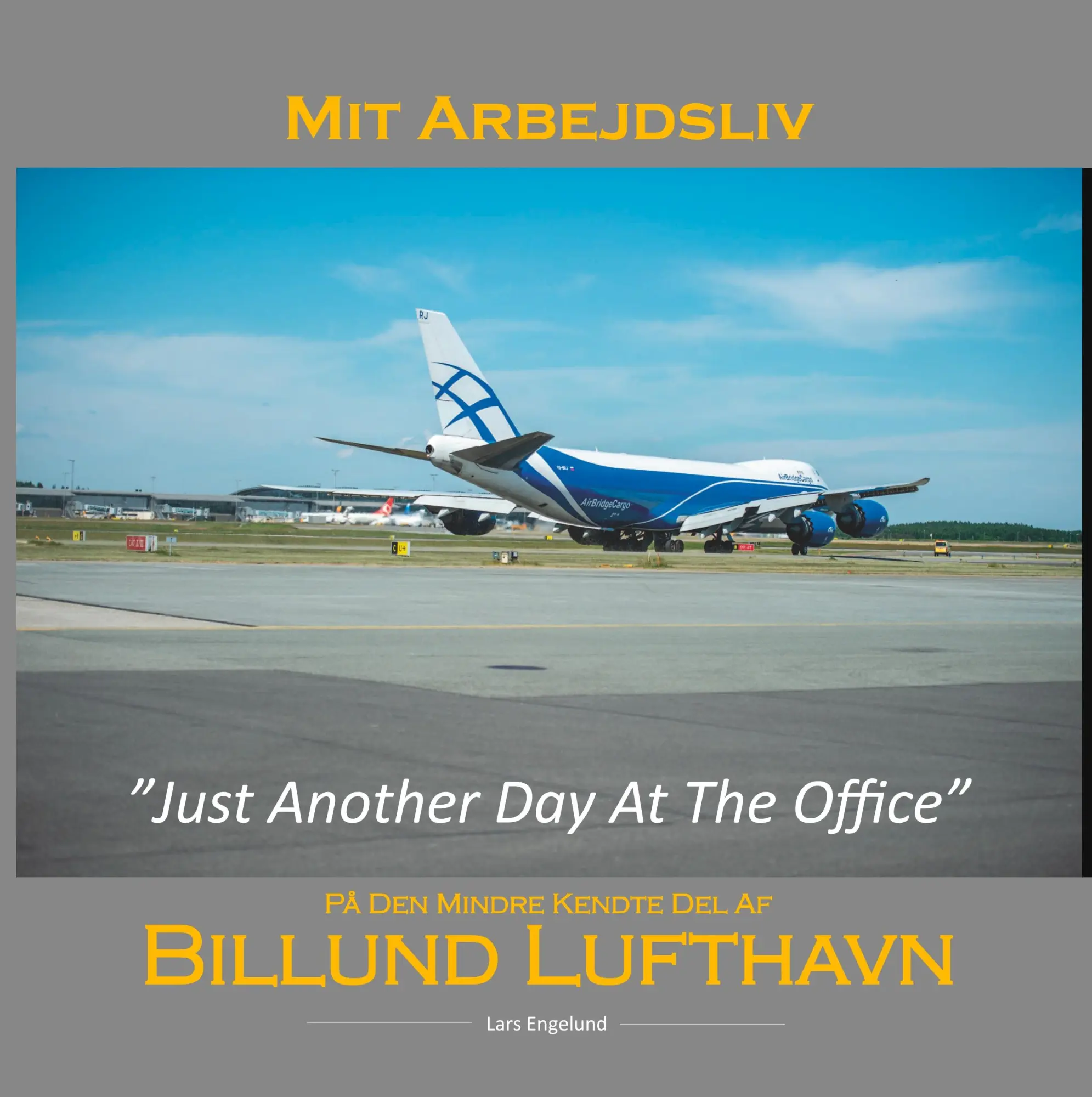 Cover: 9788743010203 | Mit arbejdsliv i Billund Lufthavn | Just Another Day At The Office