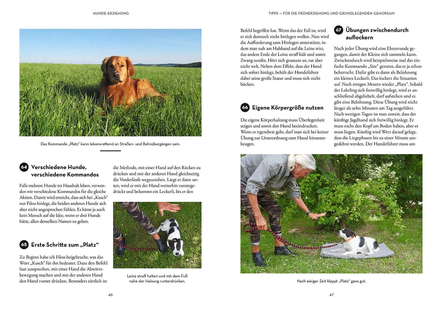 Bild: 9783440180303 | Tipps &amp; Tricks für Hundeführer | Werner Siebern | Taschenbuch | 144 S.