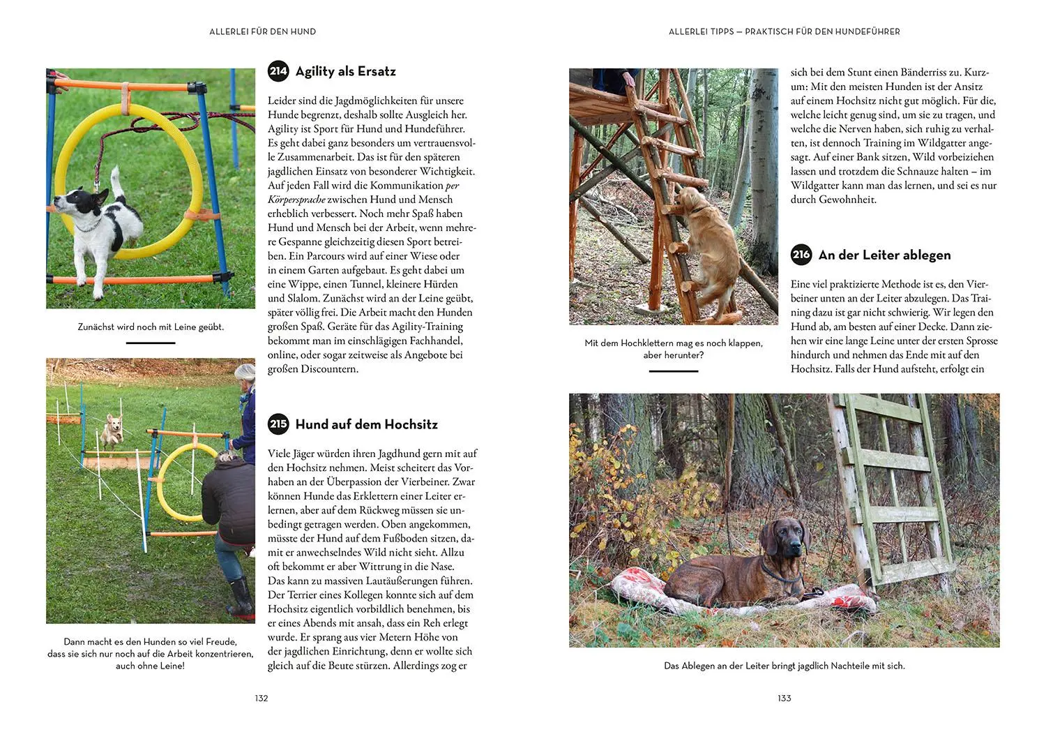 Bild: 9783440180303 | Tipps &amp; Tricks für Hundeführer | Werner Siebern | Taschenbuch | 144 S.