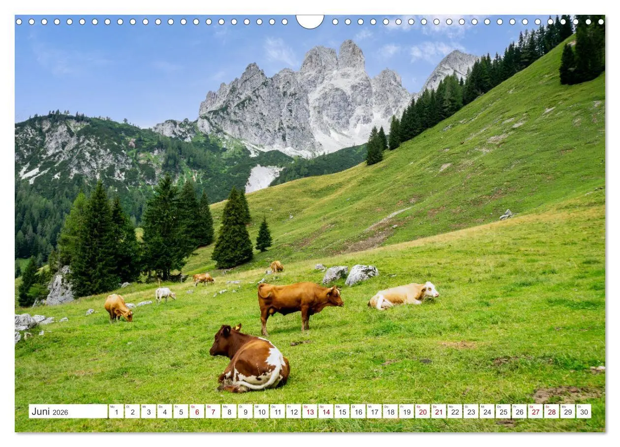 Bild: 9783457630303 | Das wunderbare Ramsau am Fuße des Dachsteins (Wandkalender 2026 DIN...