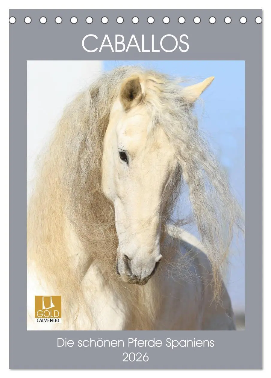 Cover: 9783516410303 | Caballos - Die schönen Pferde Spaniens (Tischkalender 2026 DIN A5...