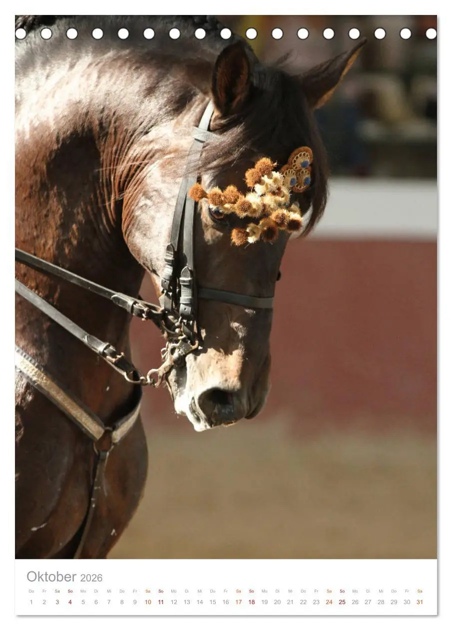 Bild: 9783516410303 | Caballos - Die schönen Pferde Spaniens (Tischkalender 2026 DIN A5...
