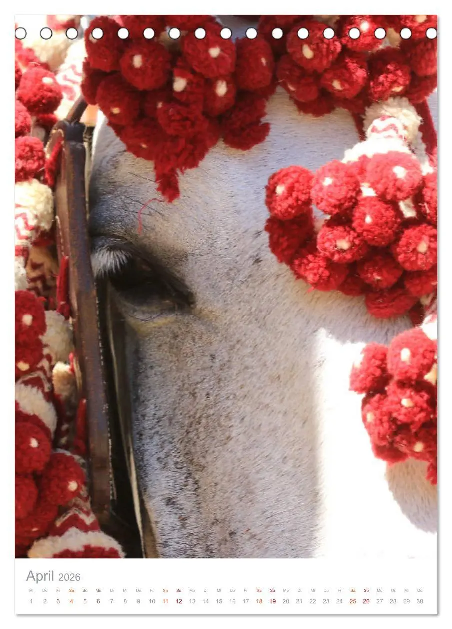 Bild: 9783516410303 | Caballos - Die schönen Pferde Spaniens (Tischkalender 2026 DIN A5...
