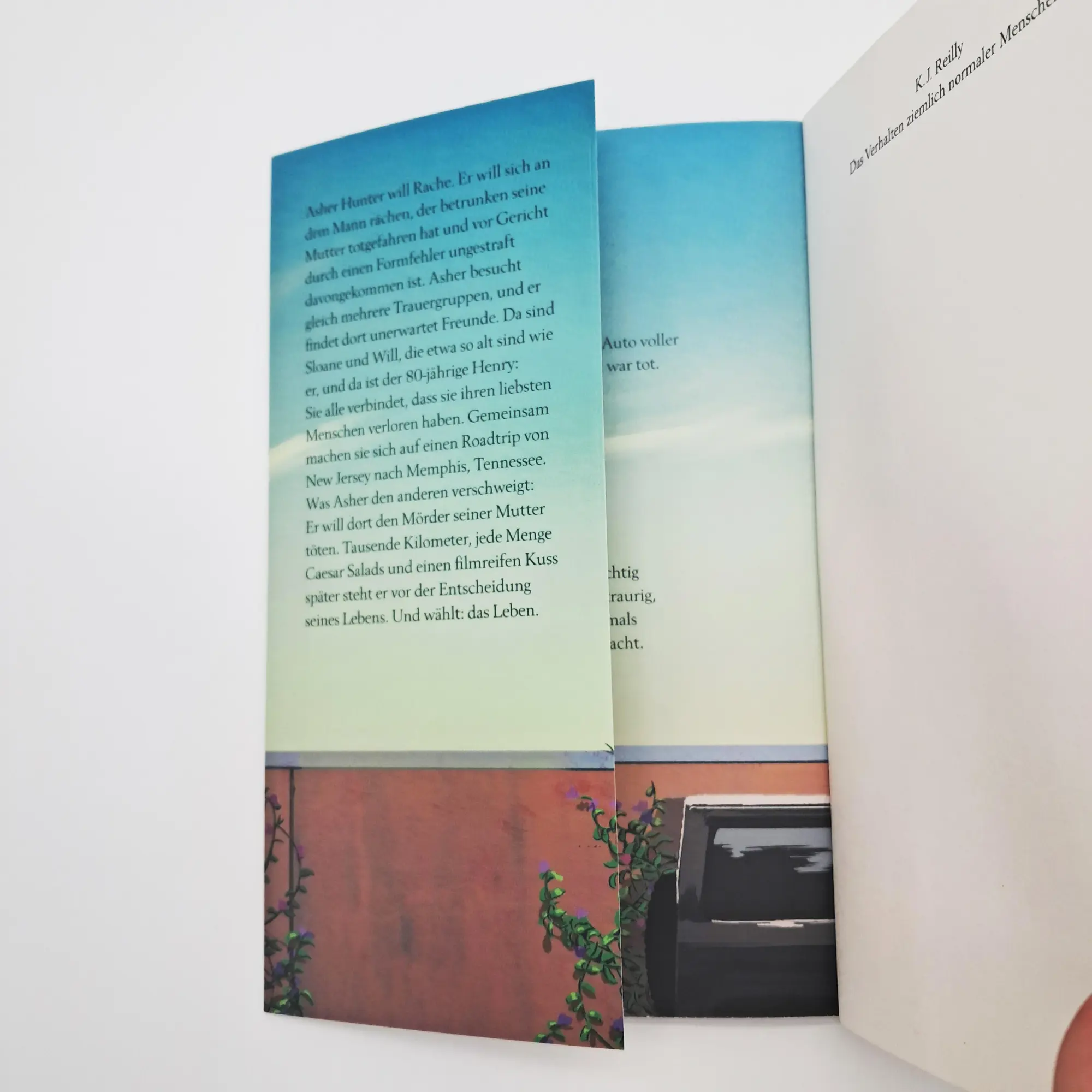 Bild: 9783423650403 | Das Verhalten ziemlich normaler Menschen | K. J. Reilly | Taschenbuch