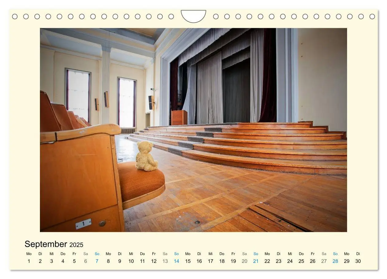 Bild: 9783435460403 | Herr Bär urban explorer (Wandkalender 2025 DIN A4 quer), CALVENDO...