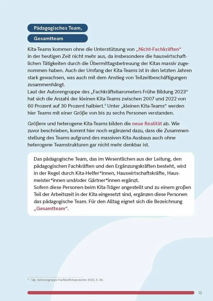 Bild: 9783834670403 | Unser multiprofessionelles Kita-Team | Katrin Rave | Taschenbuch