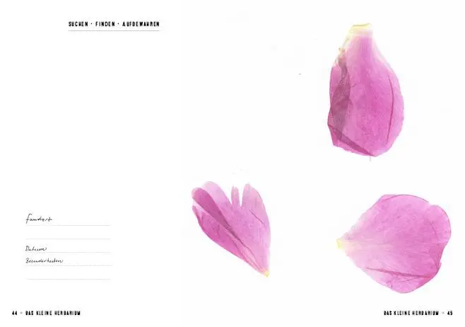 Bild: 9783959100403 | Das kleine Herbarium | Ein Buch zum Sammeln, Erinnern und Bewahren