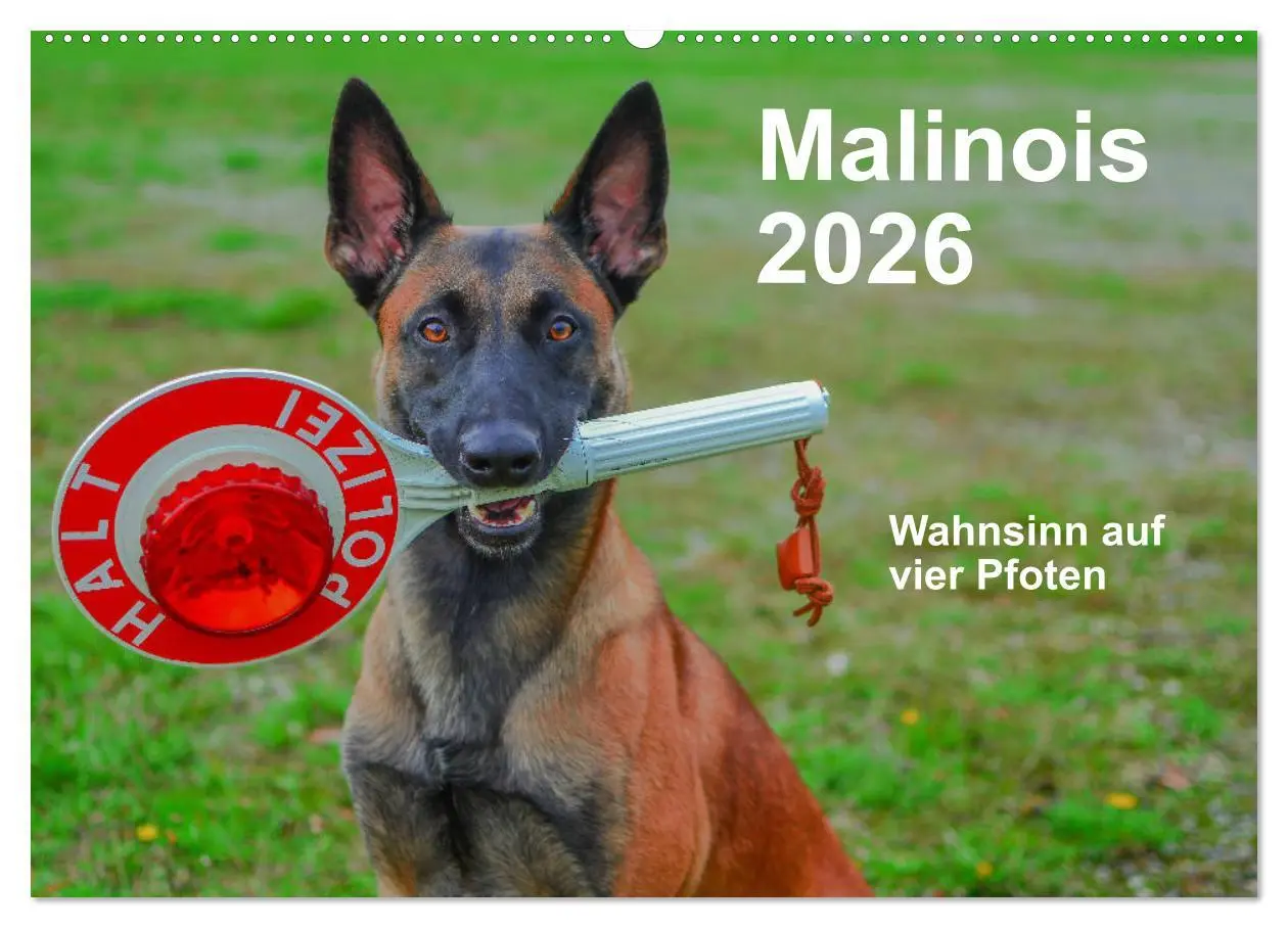 Cover: 9783457840603 | Malinois - Wahnsinn auf vier Pfoten (Wandkalender 2026 DIN A2...