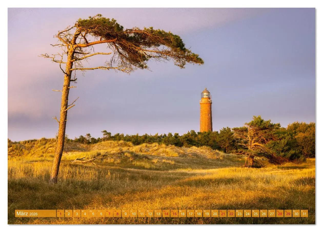 Bild: 9783516620603 | Fischland-Darß-Zingst Impressionen einer Halbinsel (Wandkalender...